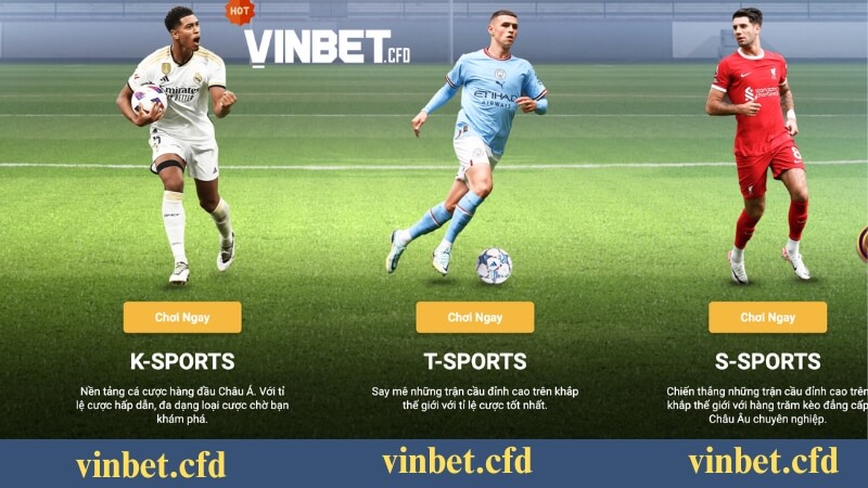 Sảnh thể thao Vinbet - Cung cấp nhiều giải đấu hấp dẫn kịch tính Sảnh thể thao Vinbet - Cung cấp nhiều giải đấu hấp dẫn kịch tính