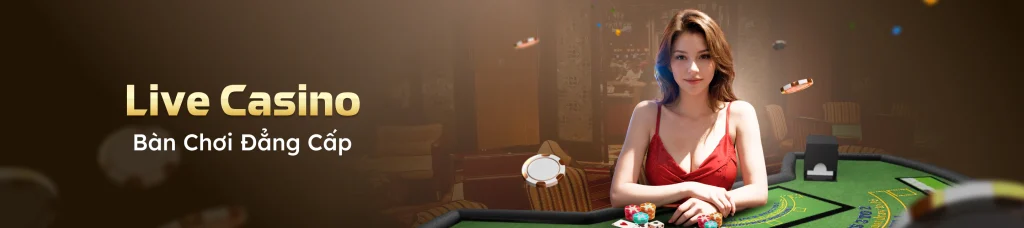 Banner casino vinbet